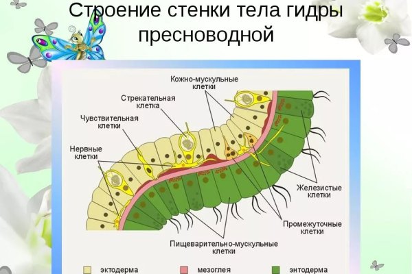 Блекспрут рабочие зеркала blacksprut cam blacksprut2web in