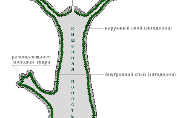 Рабочая ссылка на блэкспрут bs2webes net