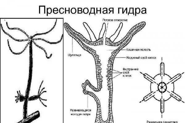 Блэк спрут актуальные зеркала